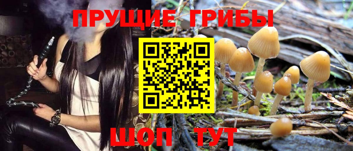 Галлюциногенные грибы Cubensis Видное